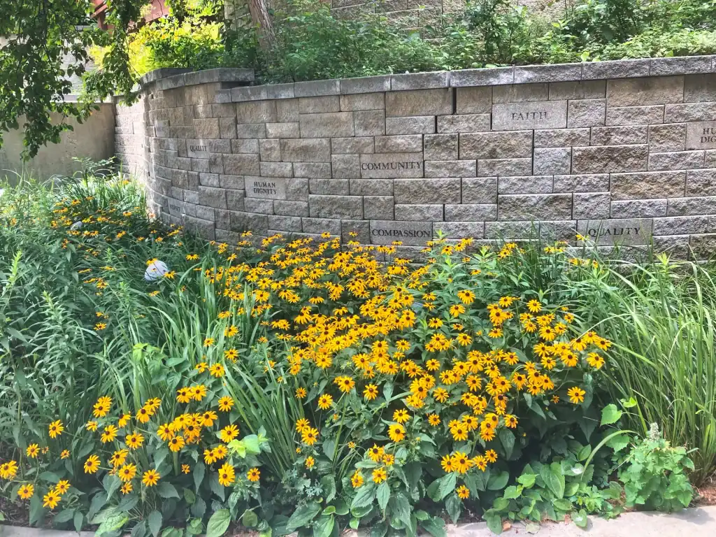 6744a66c32b9e img 0340